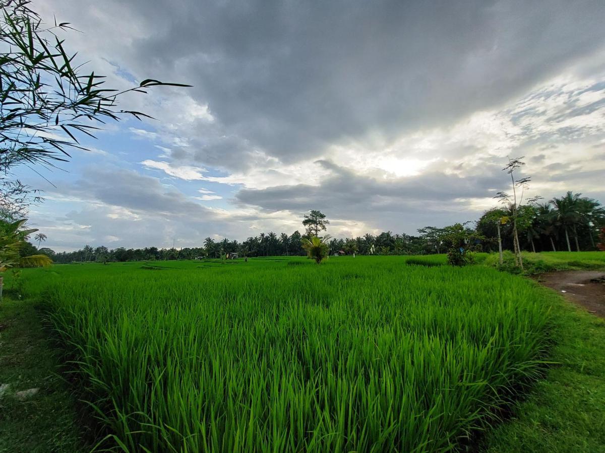 Shivananda Antique Villas By Eps Ubud Exteriör bild
