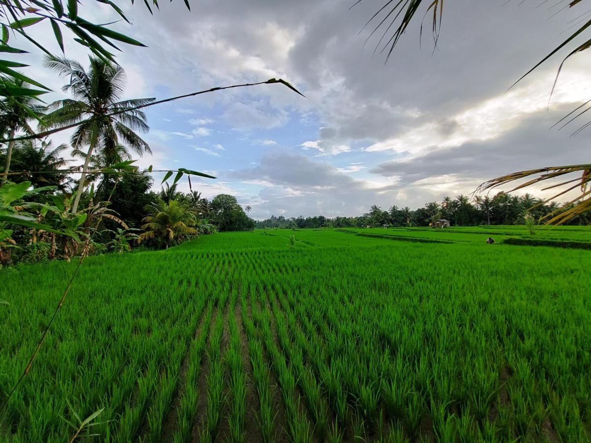 Shivananda Antique Villas By Eps Ubud Exteriör bild